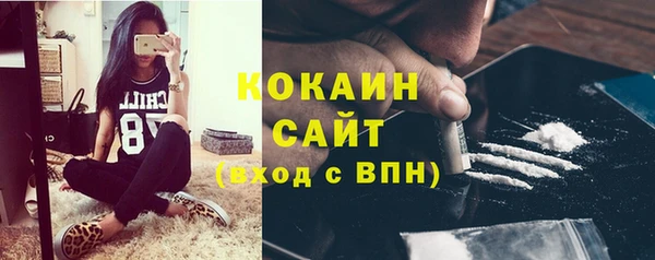 дмт Янаул