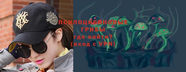 мдпв Инта