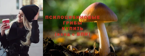 мет Каменногорск