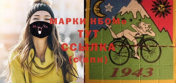 Альфа ПВП Каменка
