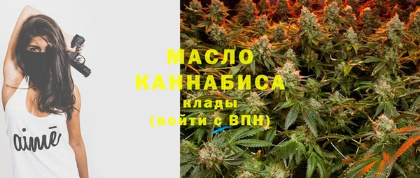 мдпв Инта