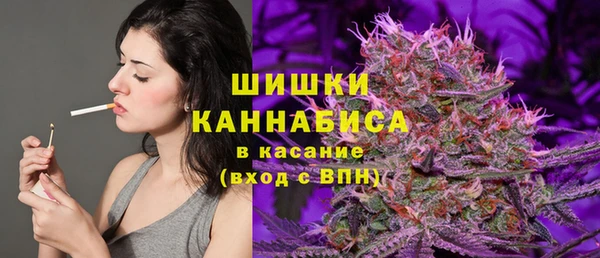 Альфа ПВП Каменка