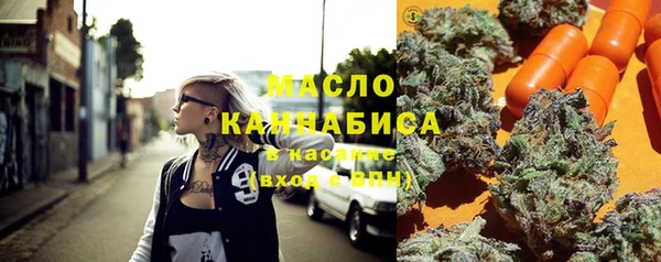мдпв Инта