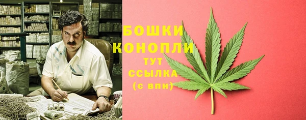 ALPHA PVP Инсар
