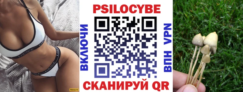 Купить где  Малая Вишера  Галлюциногенные грибы GOLDEN TEACHER 